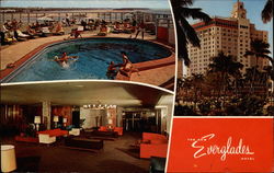 The New Everglades Hotel Miami, FL Postcard Postcard