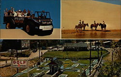 Sand Dunes Frontier, Inc Reedsport, OR Postcard Postcard