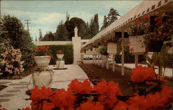 Lambert Gardens Postcard