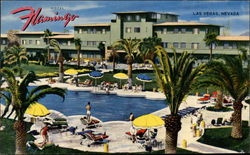 Hotel Flamingo Postcard