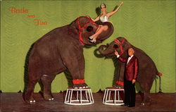 Bertha and Tina, John Ascauga's Nugget Reno, NV Elephants Postcard Postcard