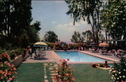The Swimming Pool The Swimming Pool