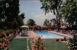 The Swimming Pool Rancho Santa Fe, CA Postcard Postcard