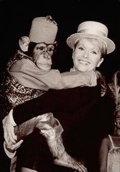 Stock #202535 Thumbnail