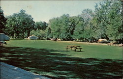 Sugar Creek Park Greenfield, IN Postcard Postcard