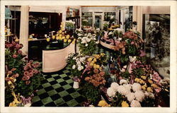 Edgewater Beach Hotel Flower Shop Chicago, IL Postcard Postcard