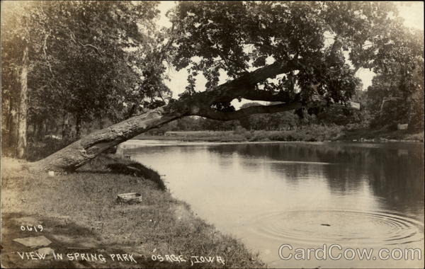 View in Spring Park Osage Iowa