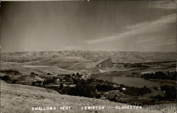 Swallows nest Clarkston, WA