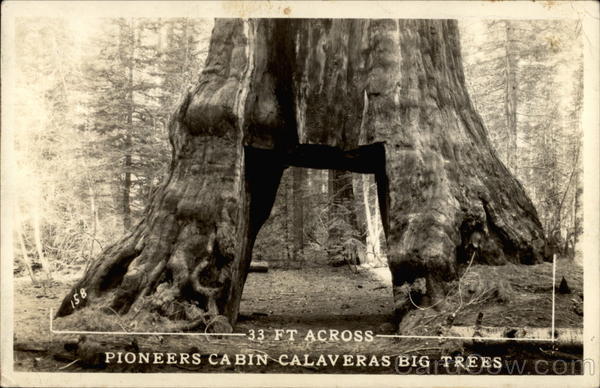 Pioneers Cabin Calaveras Big Trees Columbia California