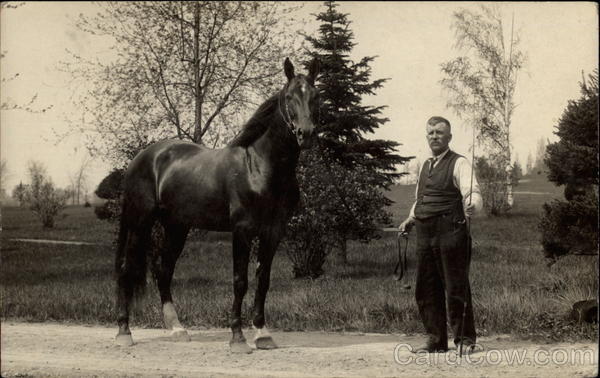 A Man with his Horse Horses