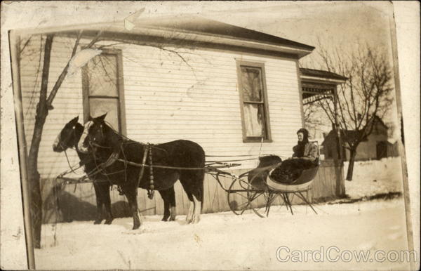 Horse drawn sled Horses