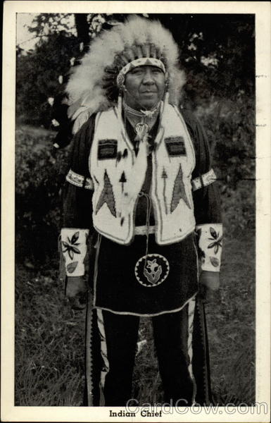 Indian Chief Native Americana