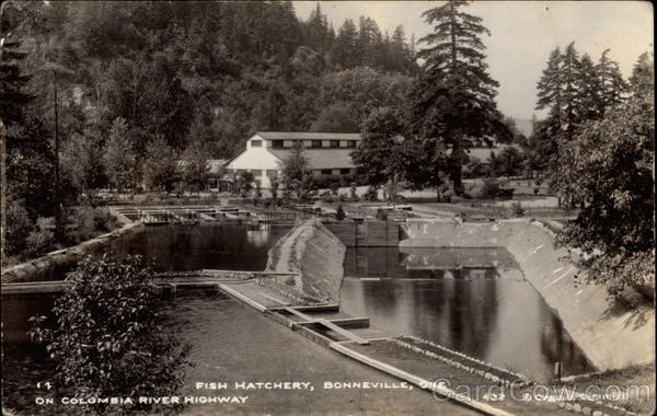 Fish Hatchery on Columbia River Highway Bonneville Oregon