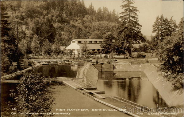 Fish Hatchery on Columbia River Highway Bonneville Oregon