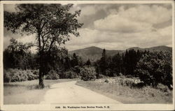 Mt. Washington Postcard