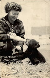 Cub Bear at Peterson's Resort Houghton Lake, MI Postcard Postcard