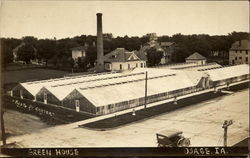 Greenhouse Postcard