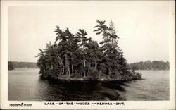 Lake of the Woods Postcard