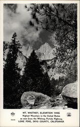 Mt. Whitney, Highest Mountain in the United States Postcard