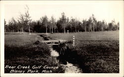 Bear Creek Golf Course Blaney Park, MI Postcard Postcard