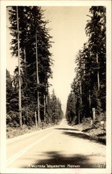 A Western Washington Highway Postcard