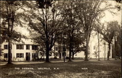 The Common Walpole, NH Postcard Postcard