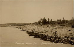 Shore of John Bay Postcard