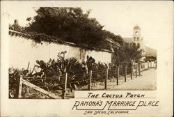 The Cactus Patch, Ramon'a Marriage Place Postcard