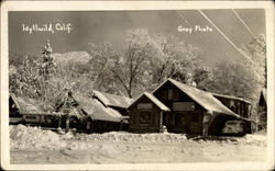 Gray Photo Postcard