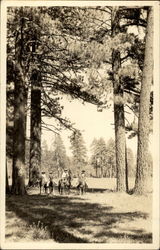 Laura Shirk, On Horseback Postcard