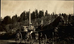 Man out for a Ride with his Horse and Buggy Postcard