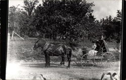 Couple Out for a Ride in a Horse and Carriage Postcard