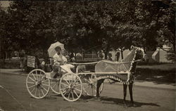 Two Women in a Horse-Drawn Carriage Postcard