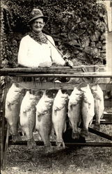 Fresh Catch of Fish Fresh Catch of Fish