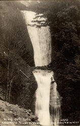 Bridal Veil Falls Postcard