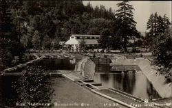 Fish Hatchery Bonneville, OR Postcard Postcard