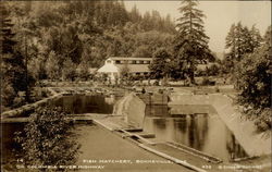 Fish Hatchery on Columbia River Highway Bonneville, OR Postcard Postcard