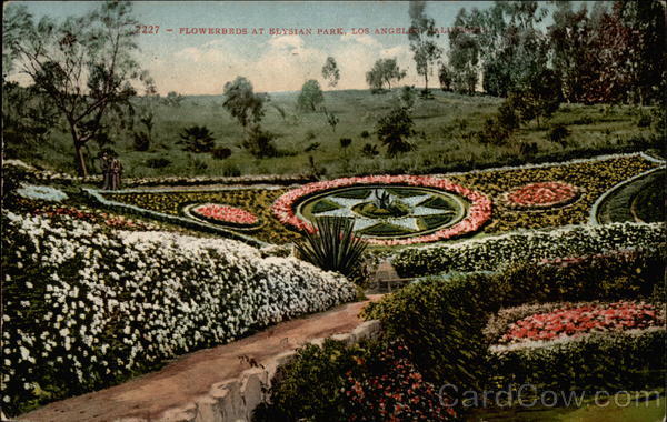 Flowerbeds at Elysian Park Los Angeles California