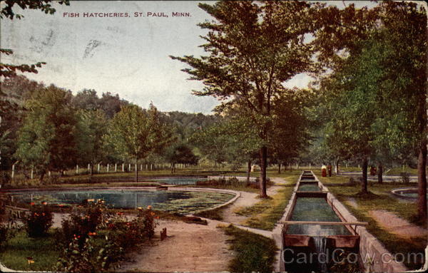 Fish Hatcheries St. Paul Minnesota