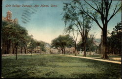 Yale College Campus New Haven, CT Postcard Postcard