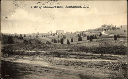 A Bit of Shinnecock Hills Southampton, NY Postcard Postcard