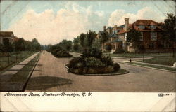 Albermarie Road, Flatbush Postcard