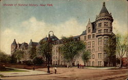 Museum of Natural History Postcard