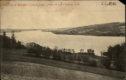 Scene at Beautiful Conesus Lake - Head of Lake looking north Livonia, NY Postcard 