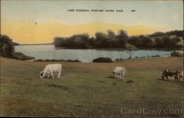 Lake Tashnoo Vineyard Haven Massachusetts