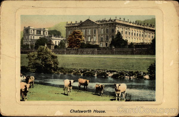 Chatsworth House England Cows & Cattle