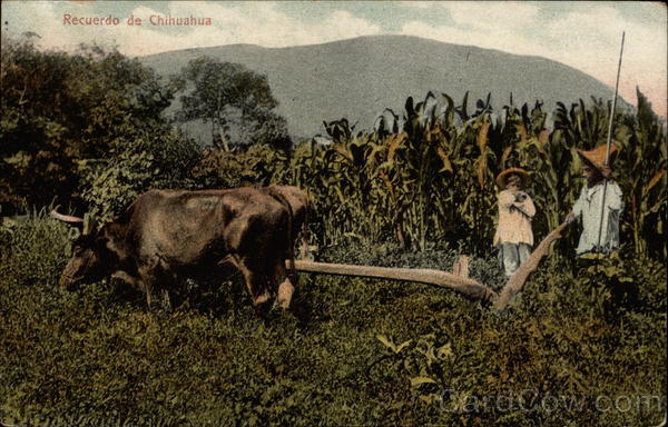 Recuerdo de Chihuahua Mexico