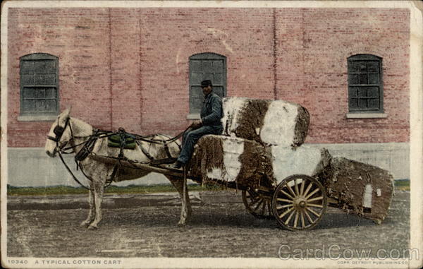 A typical cotton cart Black Americana