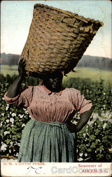 A Cotton Picker Aiken South Carolina Black Americana
