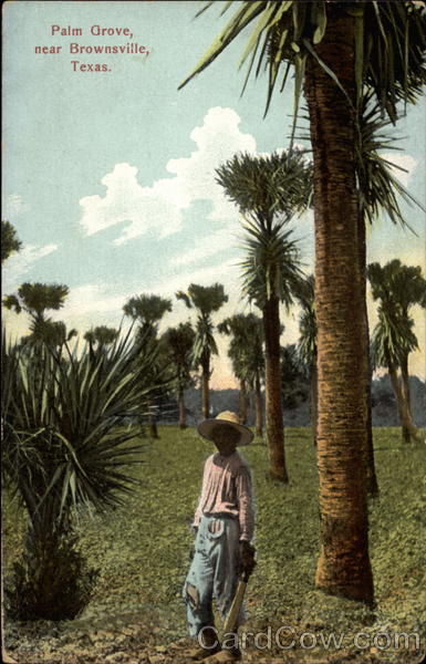 Palm Grove Brownsville Texas